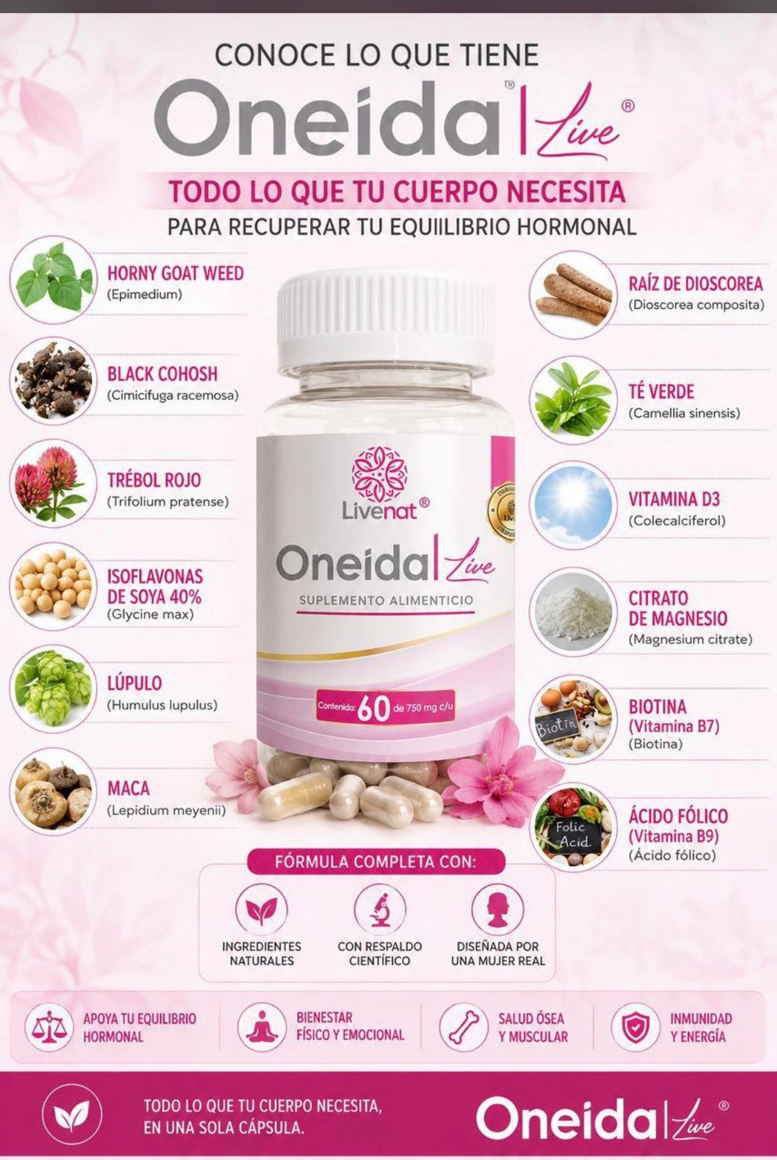 Oneida Live