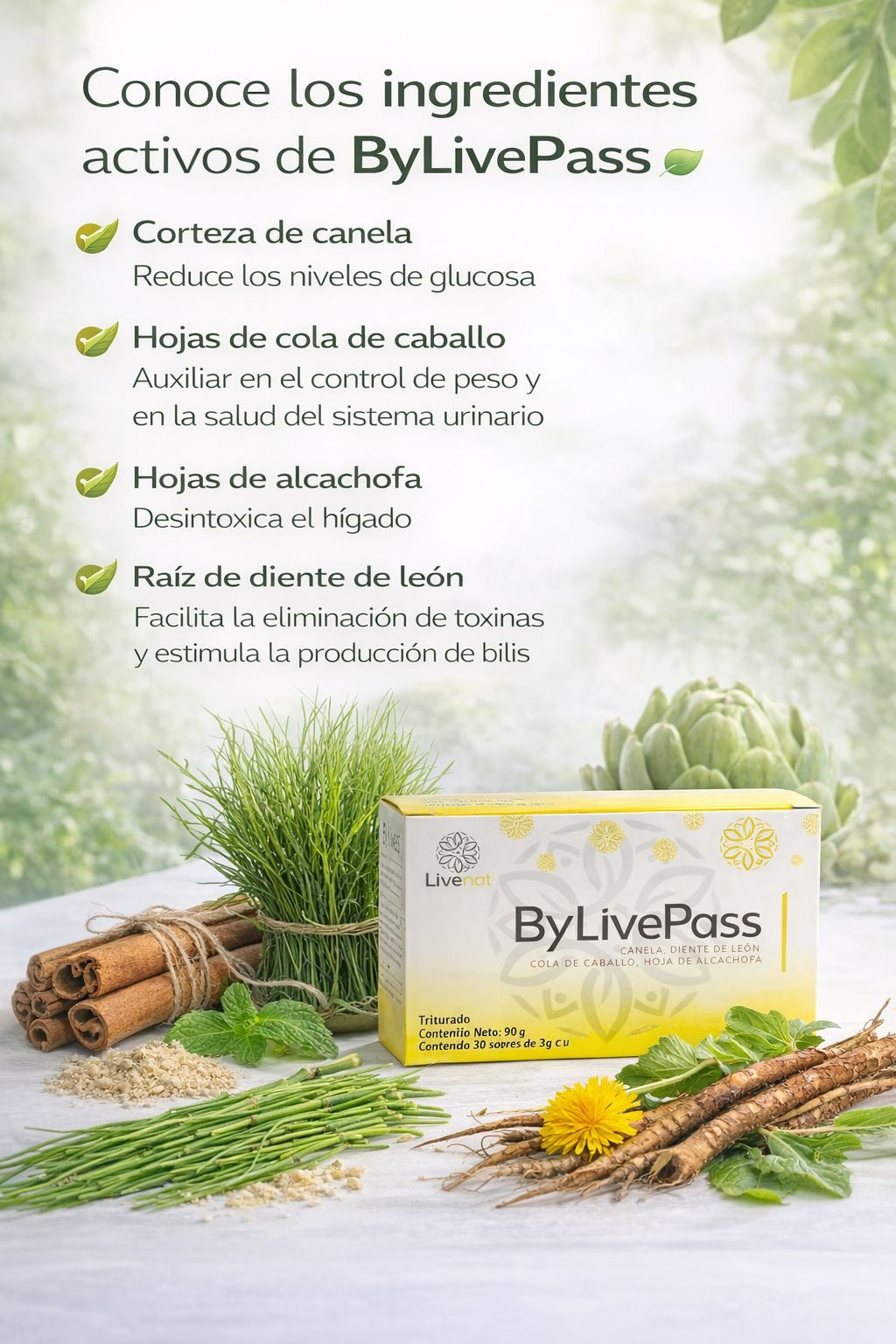 ByLivePass