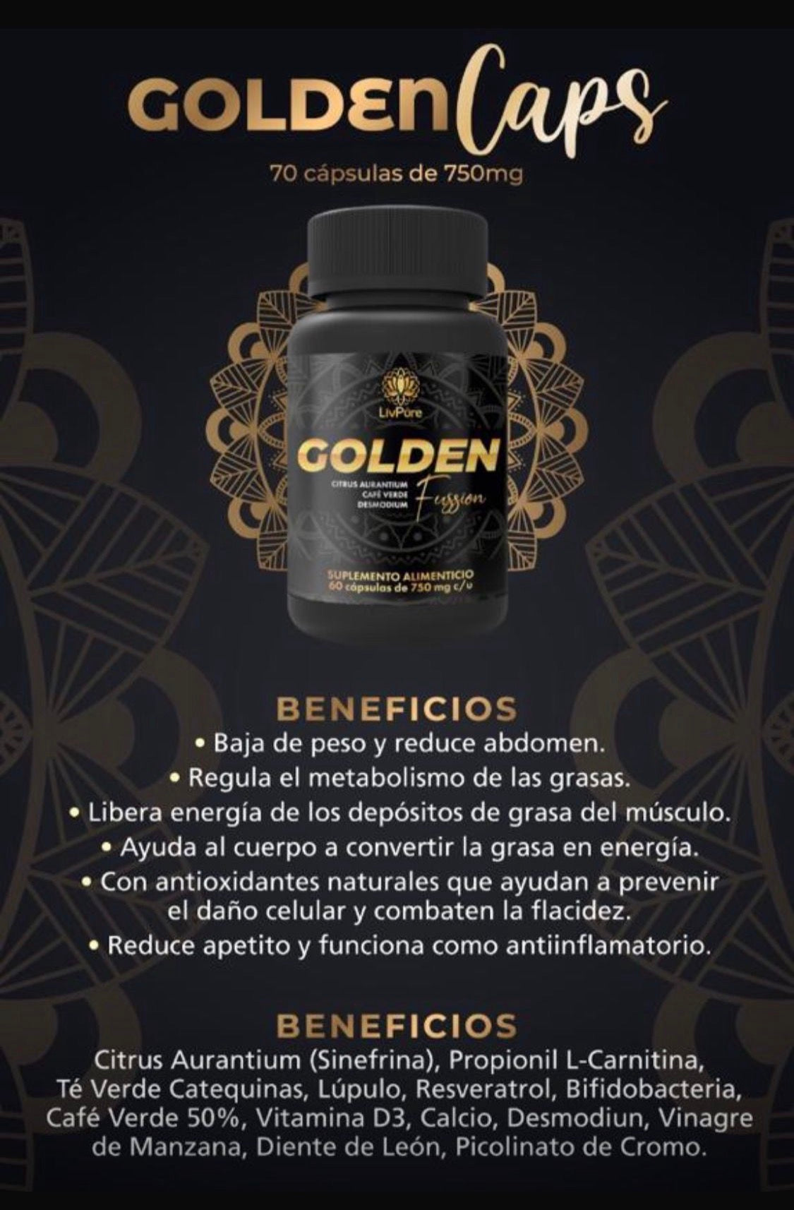 Golden Fussion